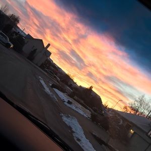 Meet your Posher, Ryley